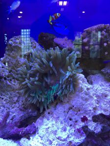 写真 2016-08-23 14 52 09