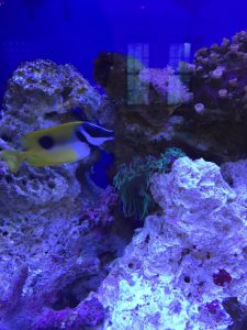 写真 2016-08-23 15 28 32