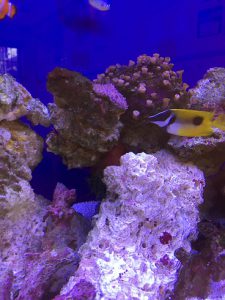 写真 2016-08-23 16 15 30